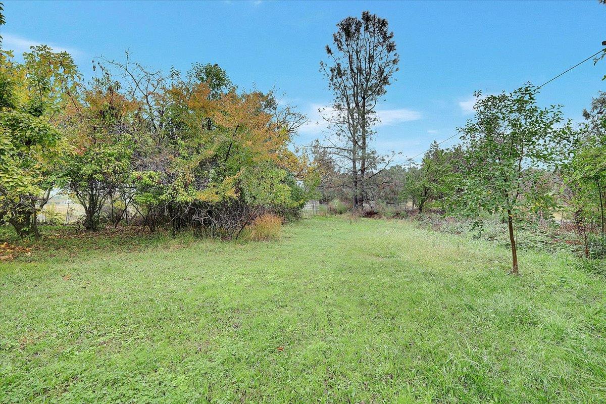 4667 Fruitland Road Marysville, CA 95901 - Photo 28 of 42 a view of a lush green space