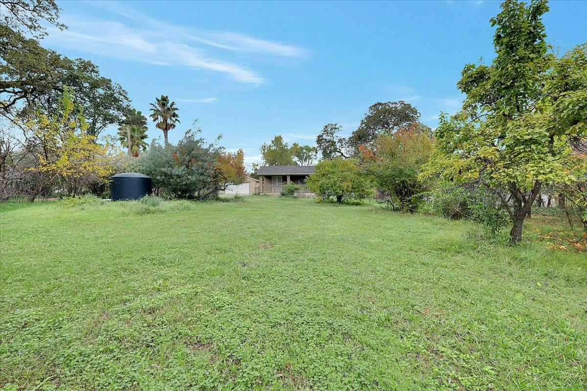 4667 Fruitland Road Marysville, CA 95901 - Photo 29 of 42 a view of a grassy field with trees in the background