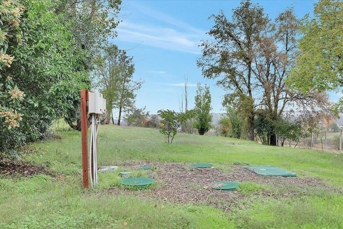 4667 Fruitland Road Marysville, CA 95901 - Photo 31 of 42 a green field with lots of bushes