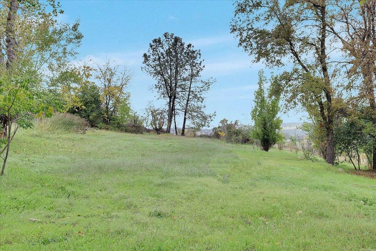 4667 Fruitland Road Marysville, CA 95901 - Photo 34 of 42 a big yard with lots of green space and plants