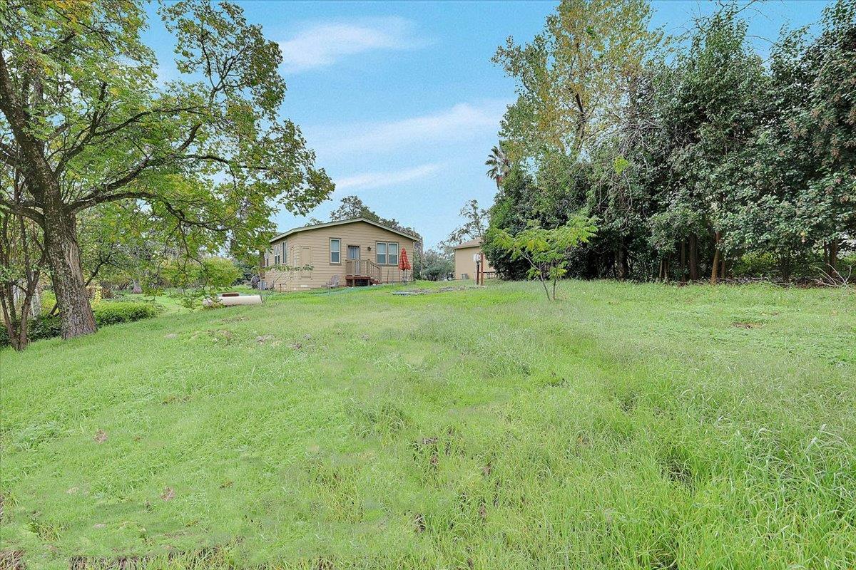 4667 Fruitland Road Marysville, CA 95901 - Photo 36 of 42 a view of a field with trees in front of it