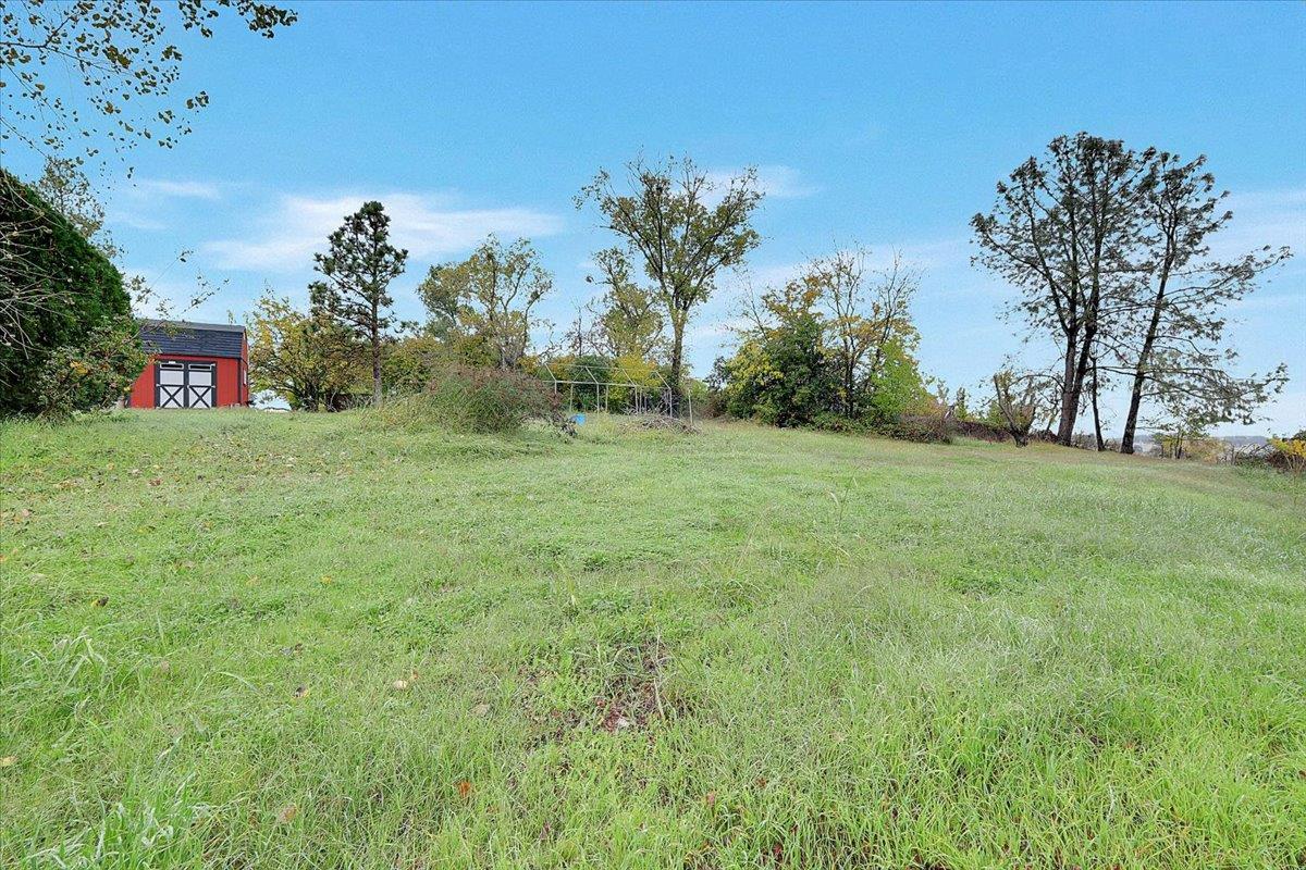 4667 Fruitland Road Marysville, CA 95901 - Photo 37 of 42 a big yard with lots of green space and palm trees