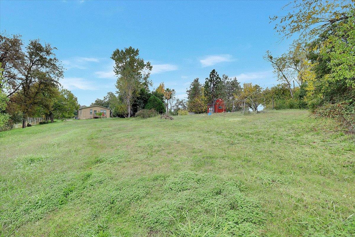 4667 Fruitland Road Marysville, CA 95901 - Photo 38 of 42 a big yard with lots of green space and palm trees