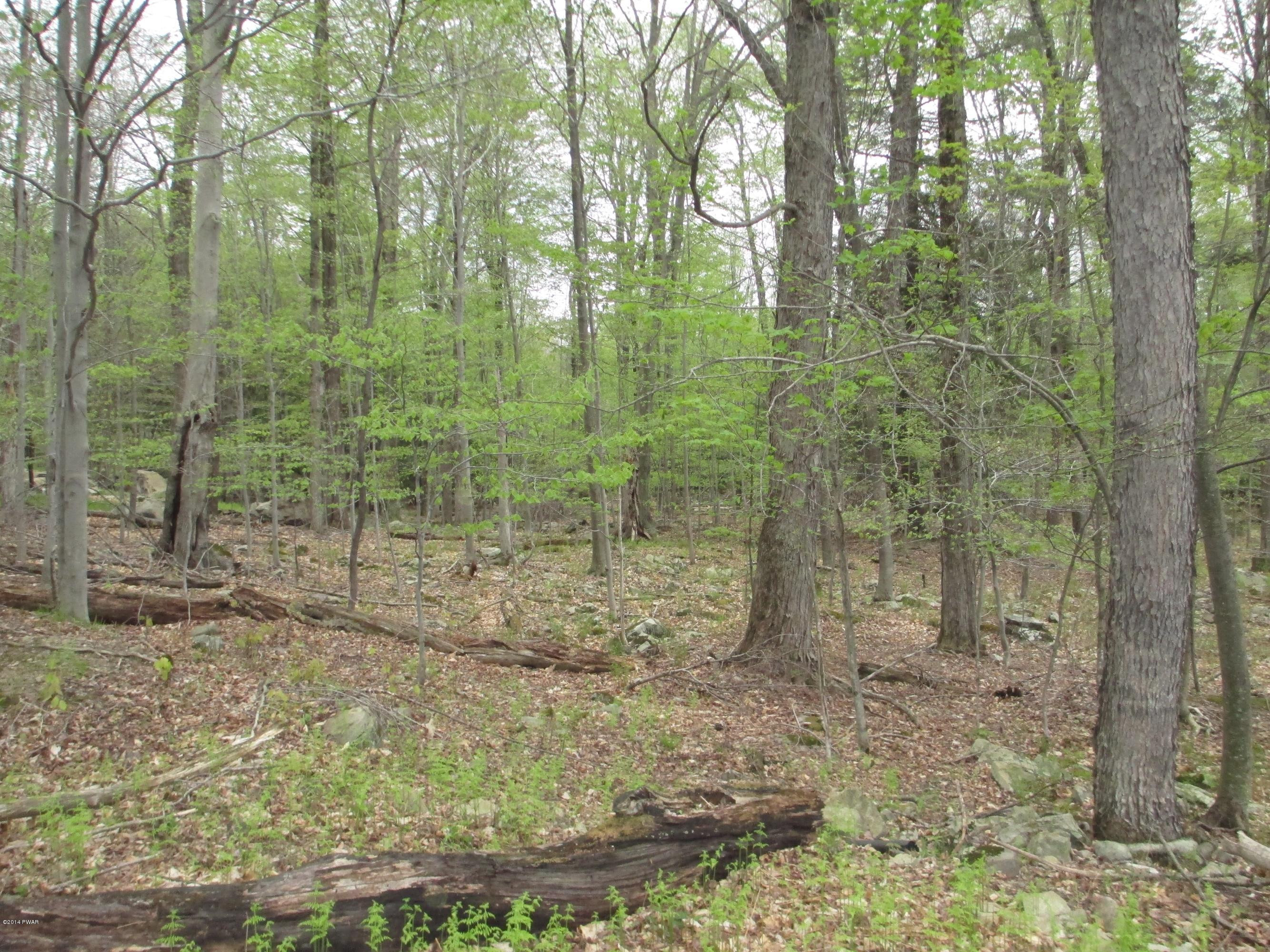 3868 Applegate Road Lake Ariel, PA 18436 - Photo 7 of 14