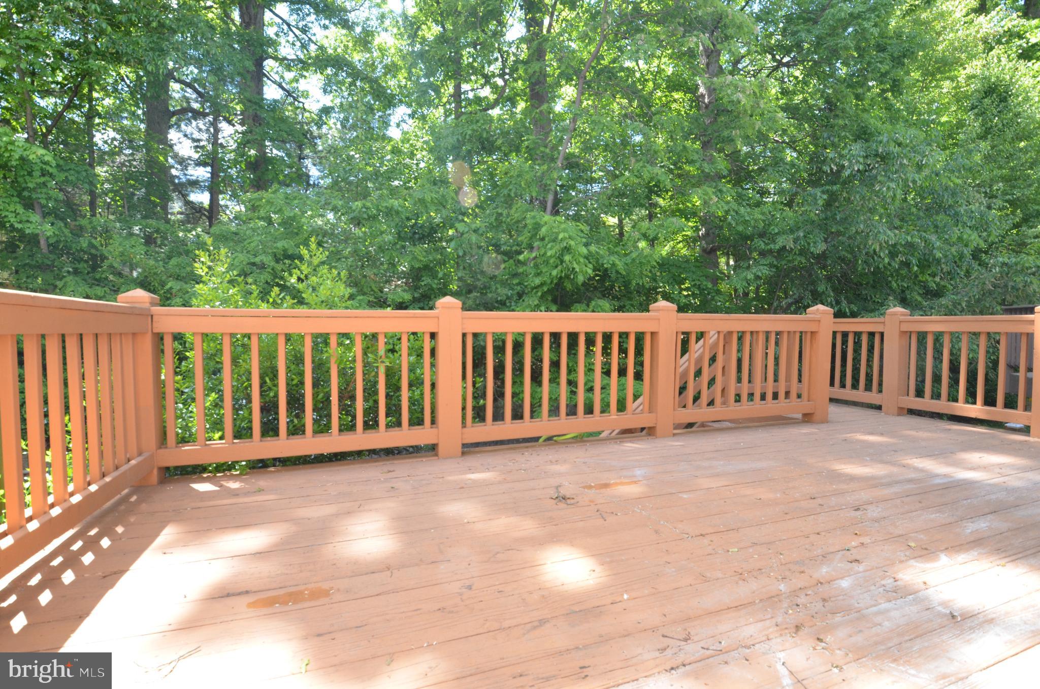 8367 Millwood Drive Springfield, VA 22152 - Photo 15 of 38