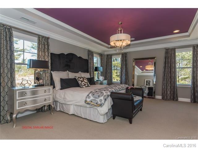 669 Zinnia Way, Unit 750 Tega Cay, SC 29708 - Photo 15 of 23 Gallery Image 15