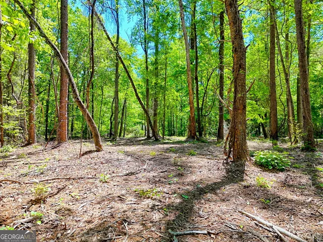 $75,000 | 135-lot 5) Whispering Dale, Clarkesville, GA 30523