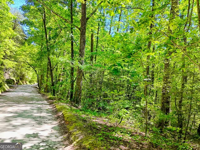 $75,000 | 135-lot 5) Whispering Dale, Clarkesville, GA 30523