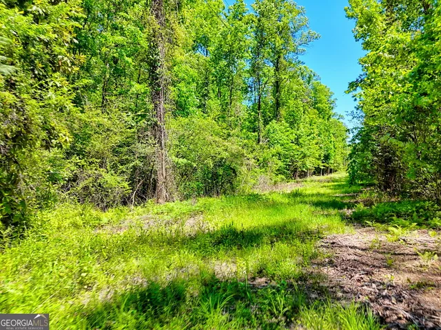 $75,000 | 135-lot 5) Whispering Dale, Clarkesville, GA 30523
