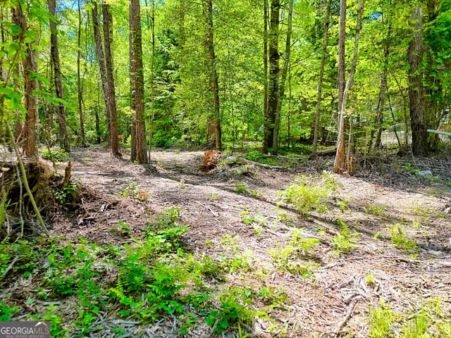 $75,000 | 135-lot 5) Whispering Dale, Clarkesville, GA 30523