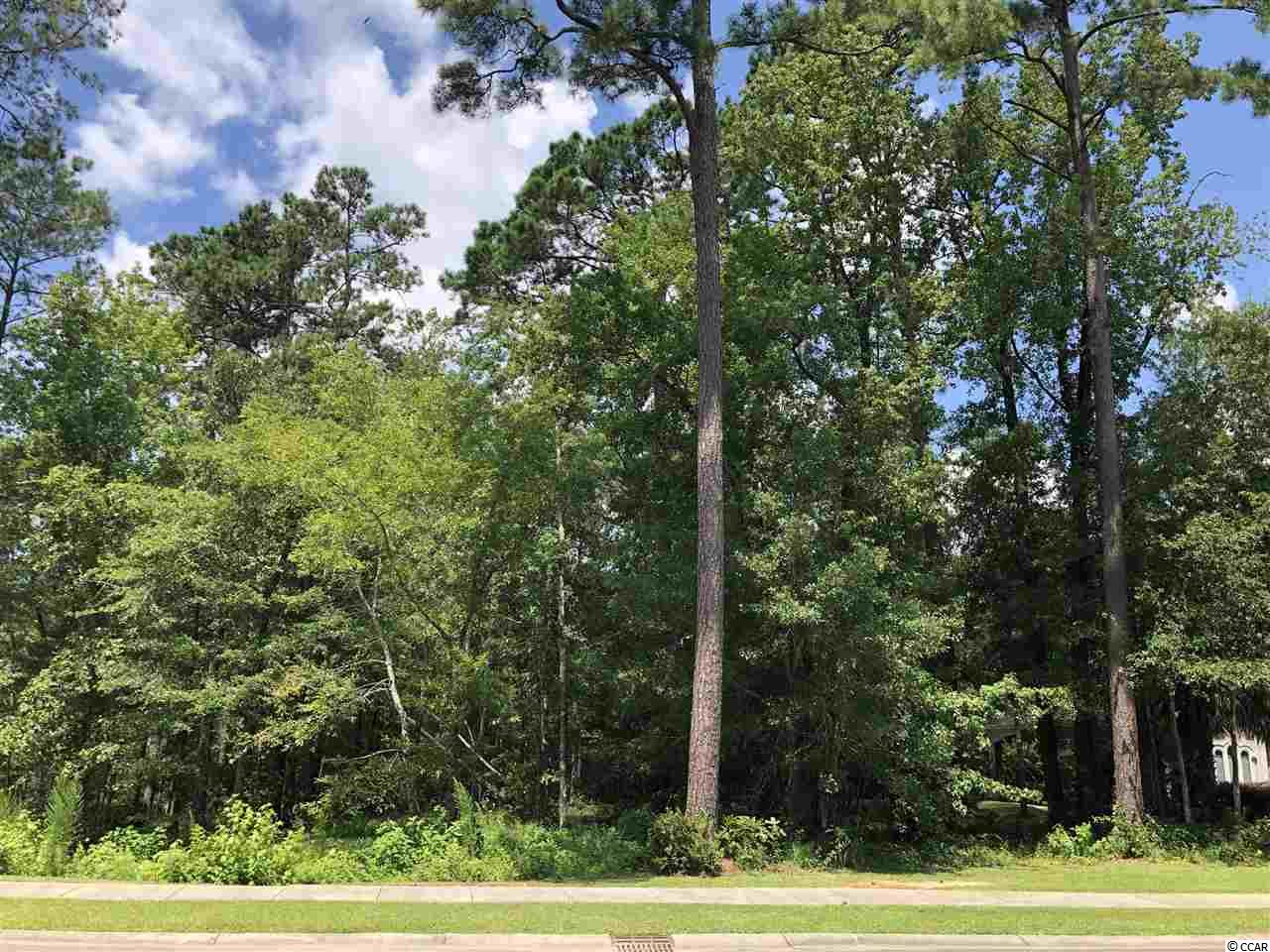 468 Chamberlin Road Myrtle Beach, SC 29588 - Photo 1 of 4 Gallery Image 1
