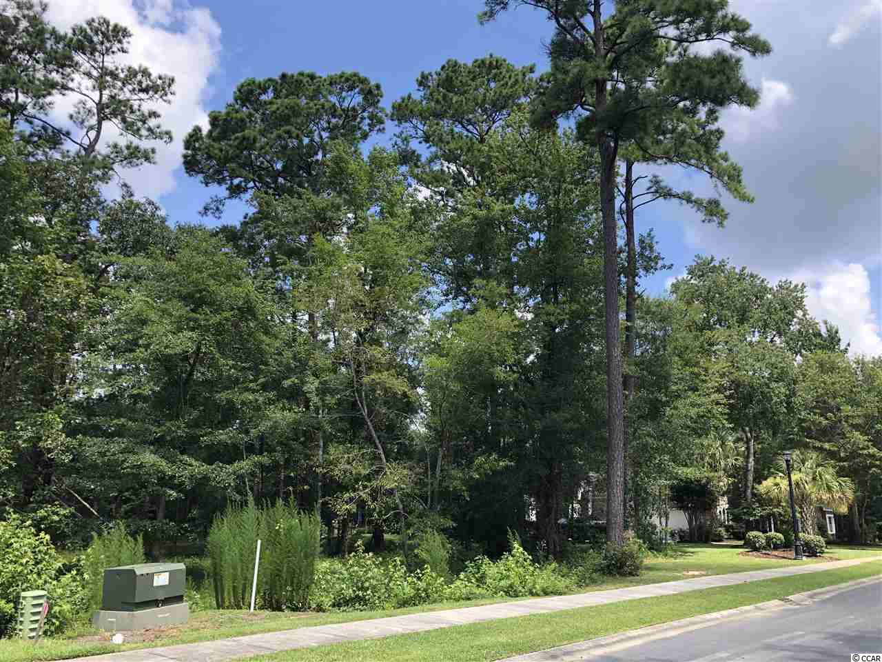 468 Chamberlin Road Myrtle Beach, SC 29588 - Photo 3 of 4 Gallery Image 3