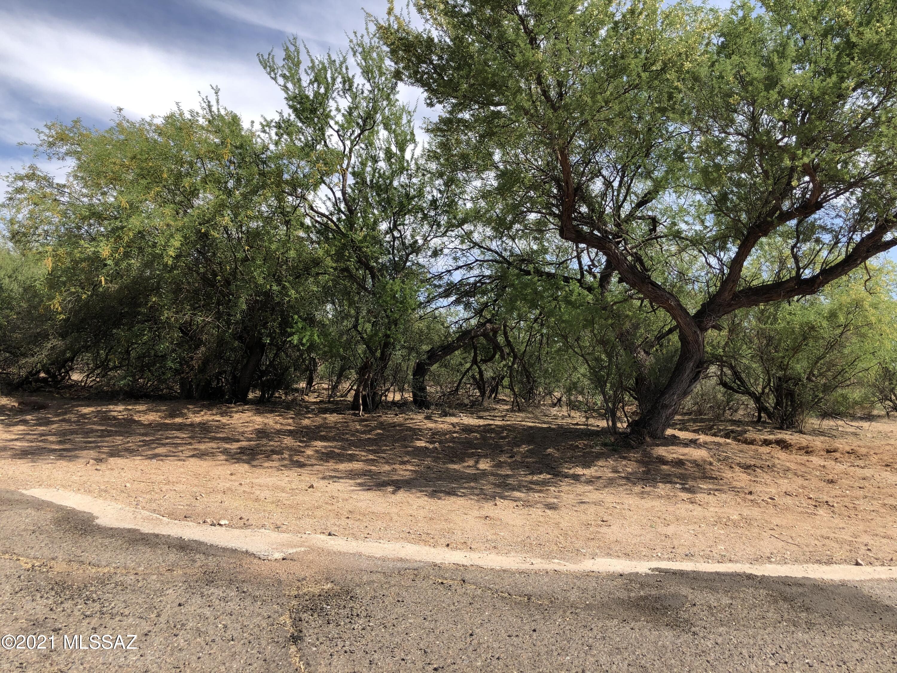 101 Via Finlandia, Unit 59 Rio Rico, AZ 85648 - Photo 1 of 4