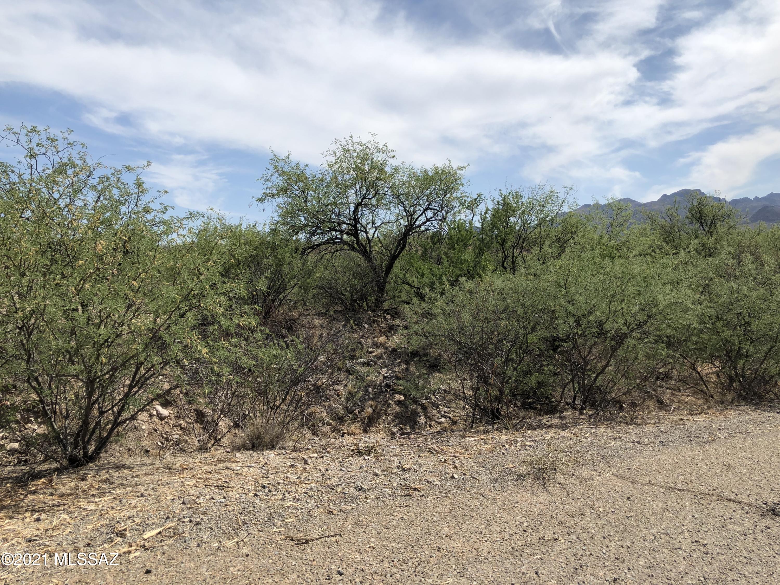 101 Via Finlandia, Unit 59 Rio Rico, AZ 85648 - Photo 3 of 4