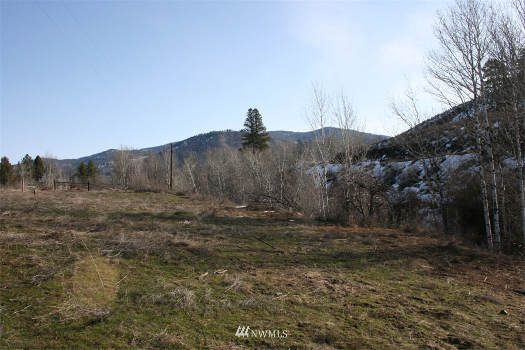 46 Bear Creek Road Winthrop, WA 98862 - Photo 8 of 10 Gallery Image 8