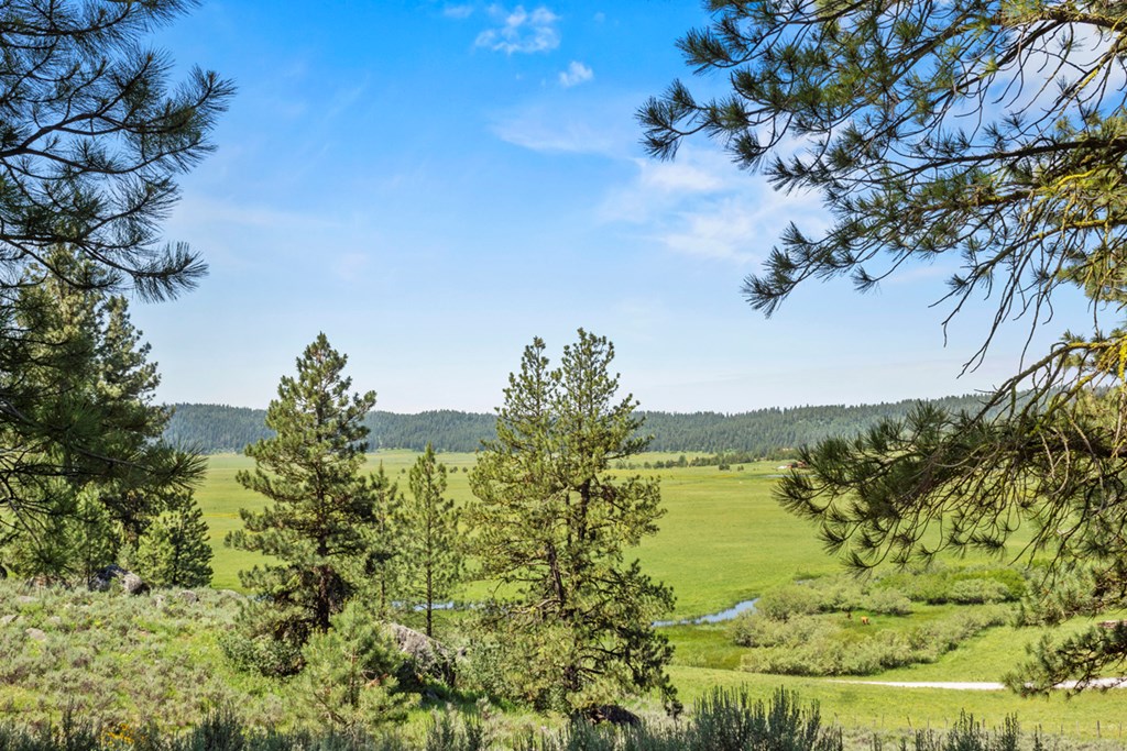 135 Lantern Way, Unit PT 3 & 4 Cascade, ID 83611 - Photo 2 of 16 Unbeatable Views