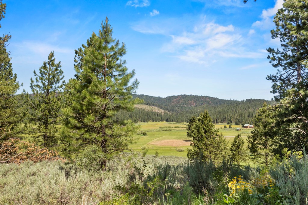 135 Lantern Way, Unit PT 3 & 4 Cascade, ID 83611 - Photo 3 of 16 Views to the North