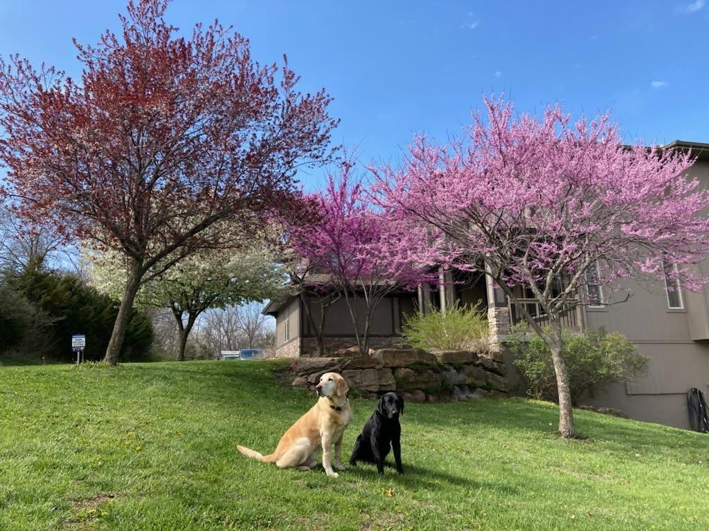 13201 Interurban Road Kansas City, MO 64163 - Photo 19 of 76