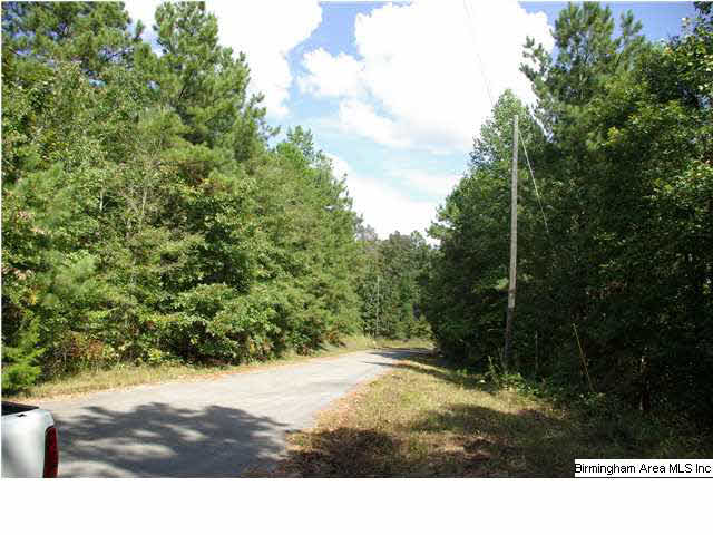 Turkey Ridge, Unit 11 Ragland, AL 35131 - Photo 18 of 31