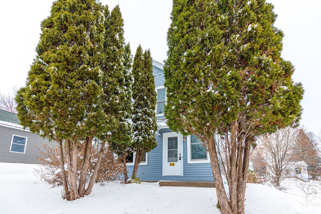 809 Franklin Street Galena, IL 61036 - Photo 28 of 28 a tree in front of a white house