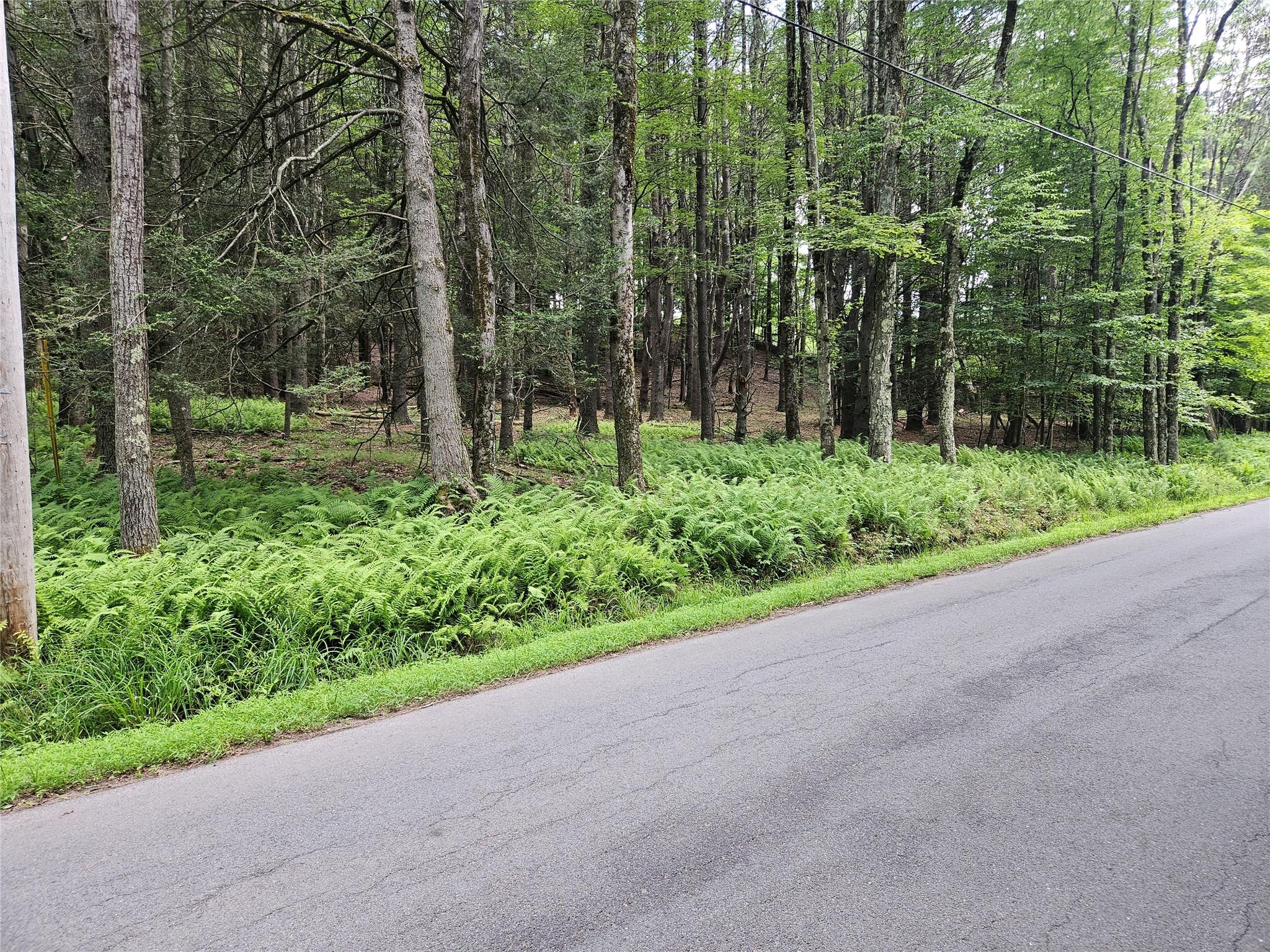 a view of a garden with a trees