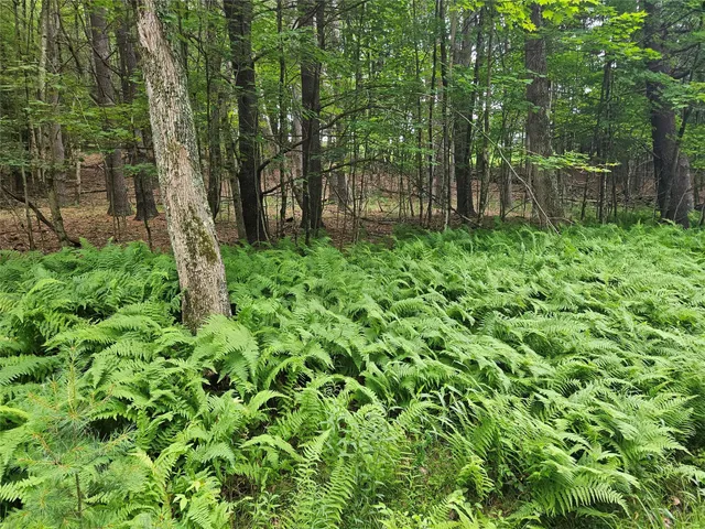 a backyard of a house with lots of green space and garden view