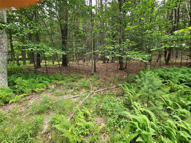 a view of outdoor space and garden