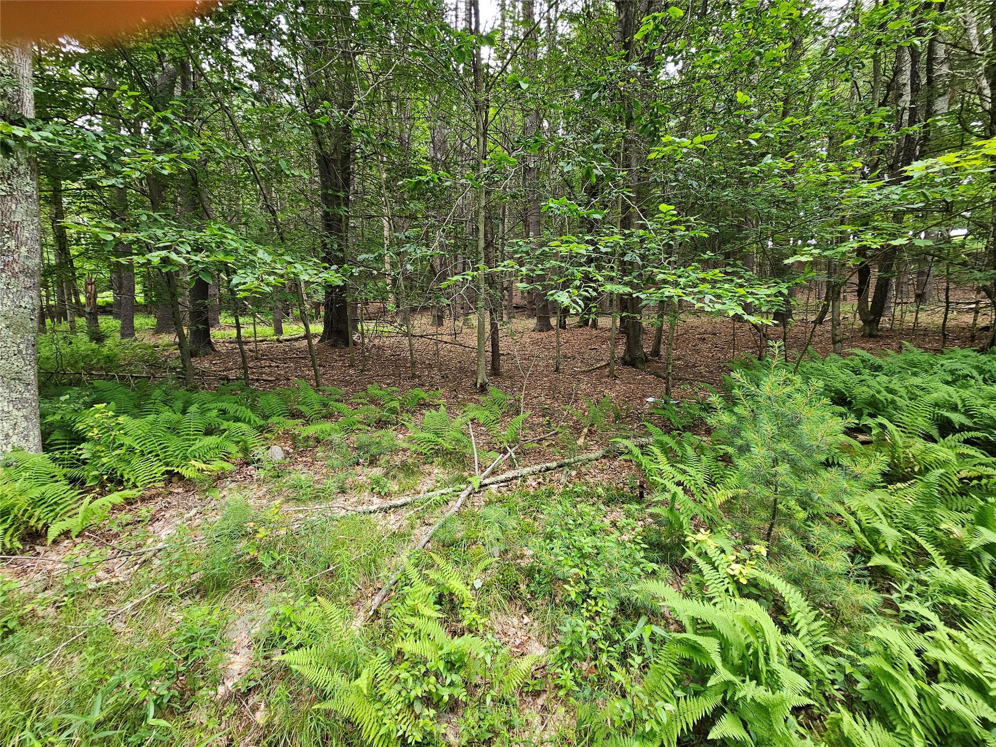 Hurd And Parks Road Swan Lake, NY 12783 - Photo 14 of 20 a backyard of a house with lots of green space and garden view