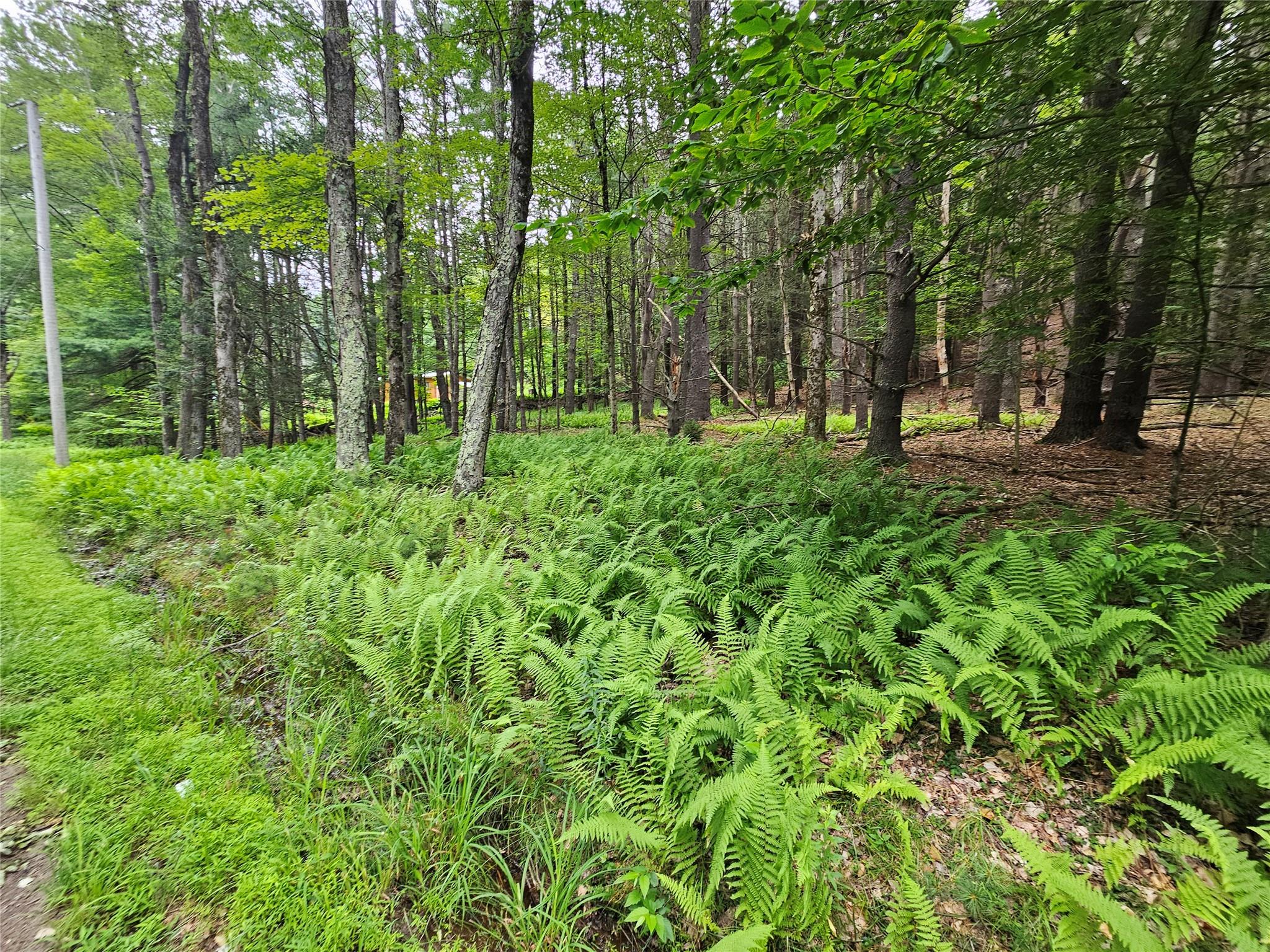 Hurd And Parks Road Swan Lake, NY 12783 - Photo 15 of 20 a view of outdoor space and garden