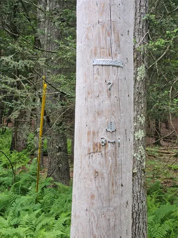 a backyard of a house with lots of green space and fountain