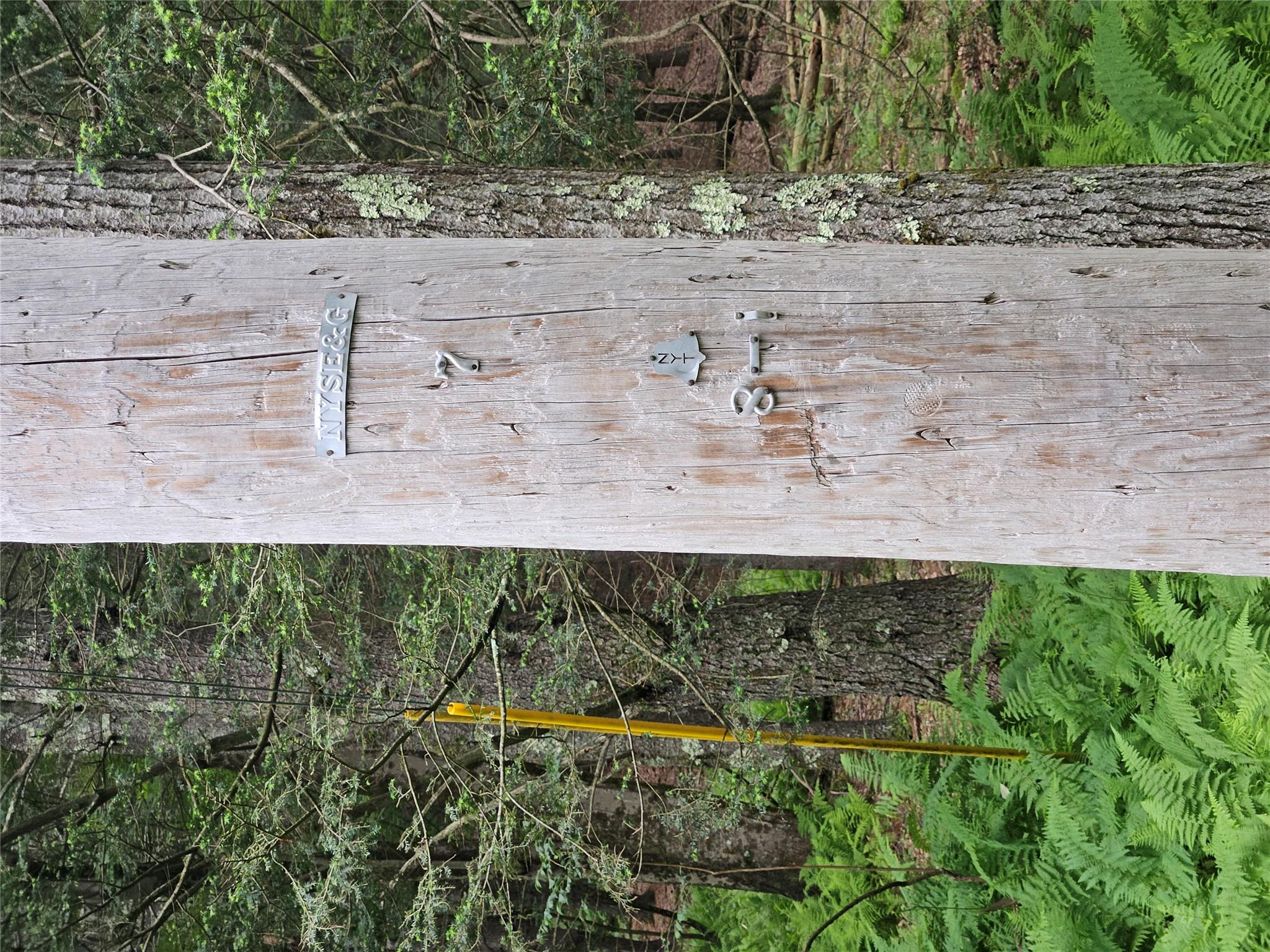 Hurd And Parks Road Swan Lake, NY 12783 - Photo 16 of 20 a bathroom with a shower