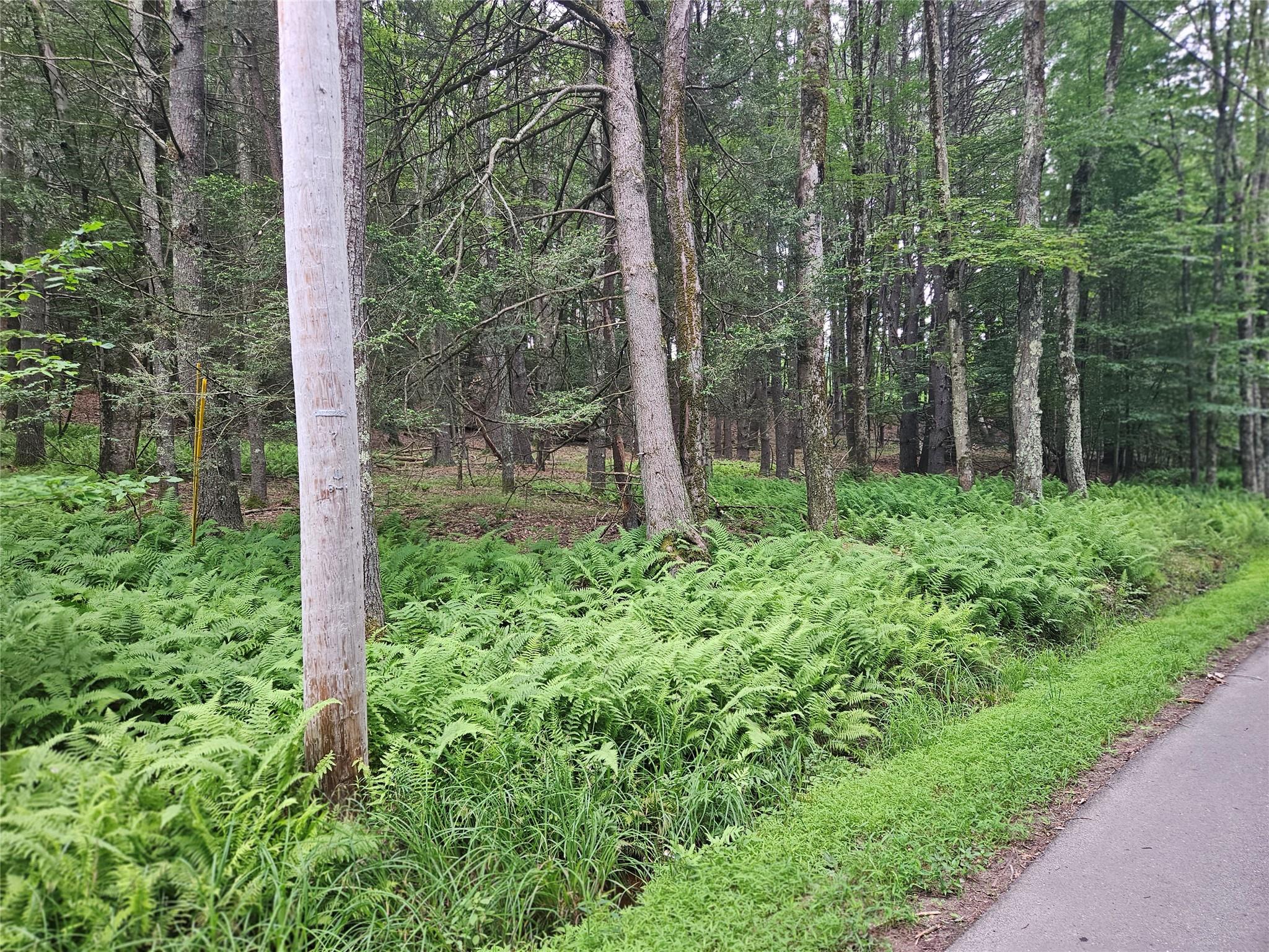 Hurd And Parks Road Swan Lake, NY 12783 - Photo 17 of 20 a backyard of a house with lots of green space and fountain