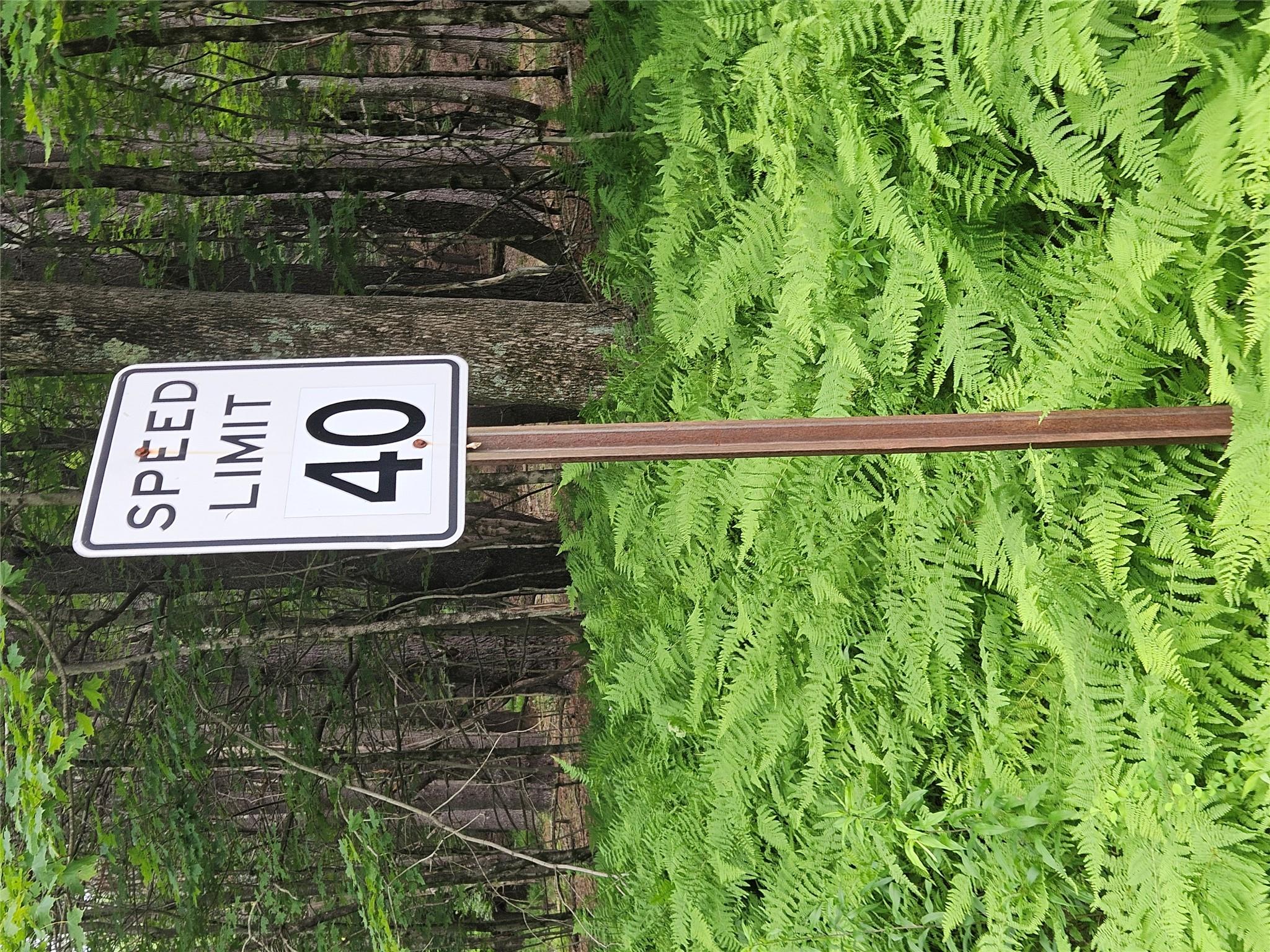 Hurd And Parks Road Swan Lake, NY 12783 - Photo 3 of 20