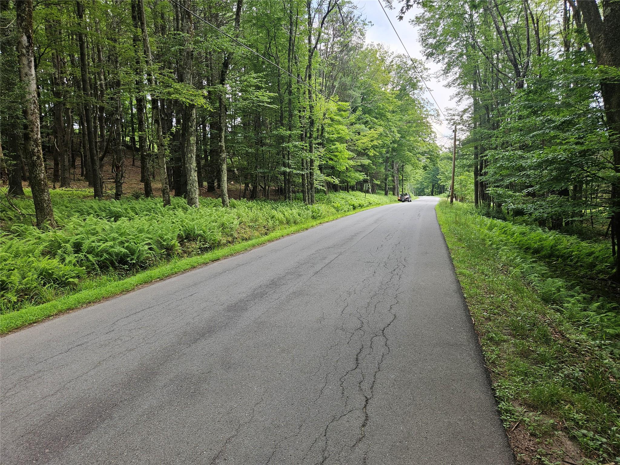 Hurd And Parks Road Swan Lake, NY 12783 - Photo 6 of 20 a view of a street both side of a house