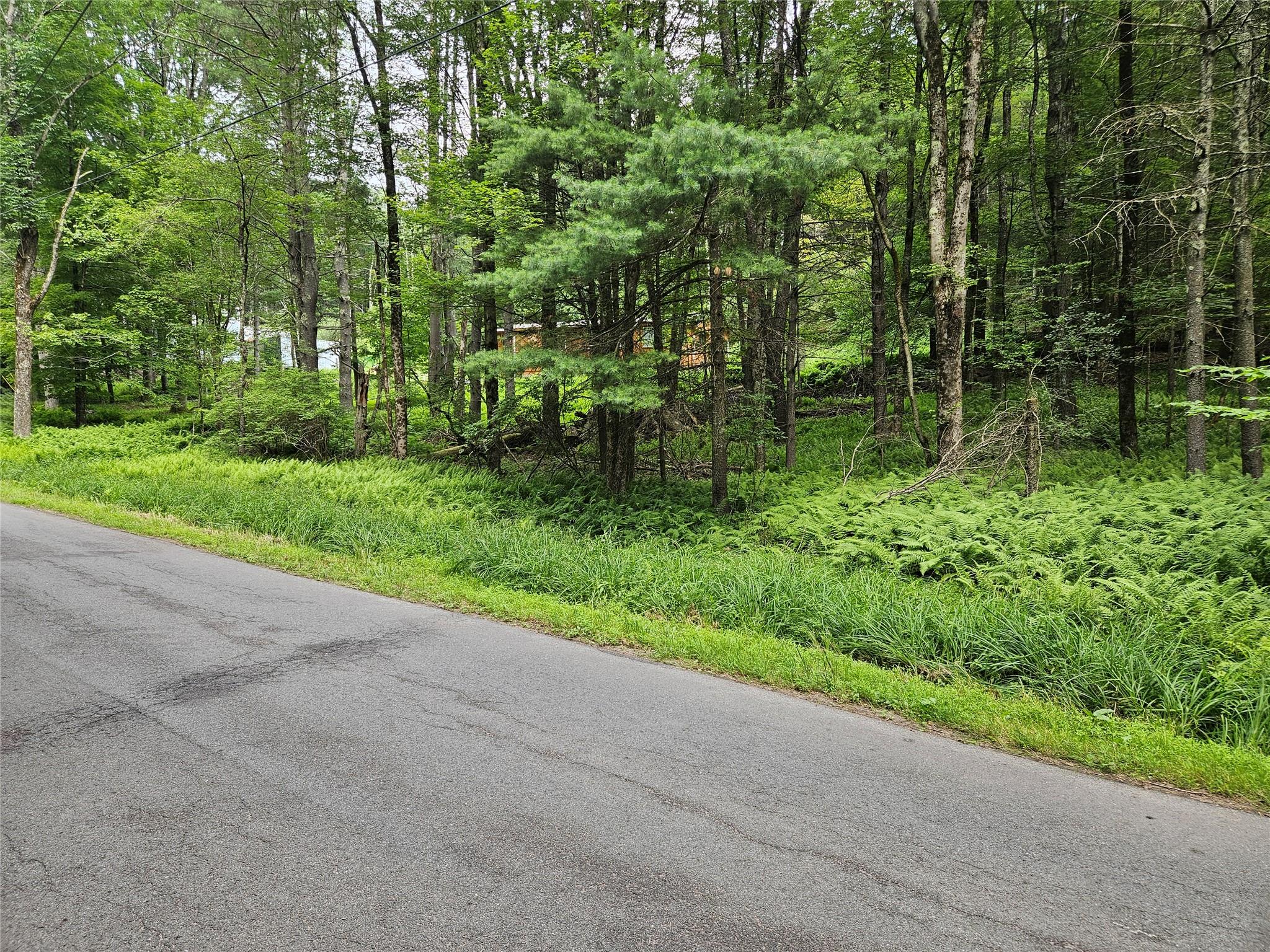 Hurd And Parks Road Swan Lake, NY 12783 - Photo 7 of 20 a green field with lots of trees