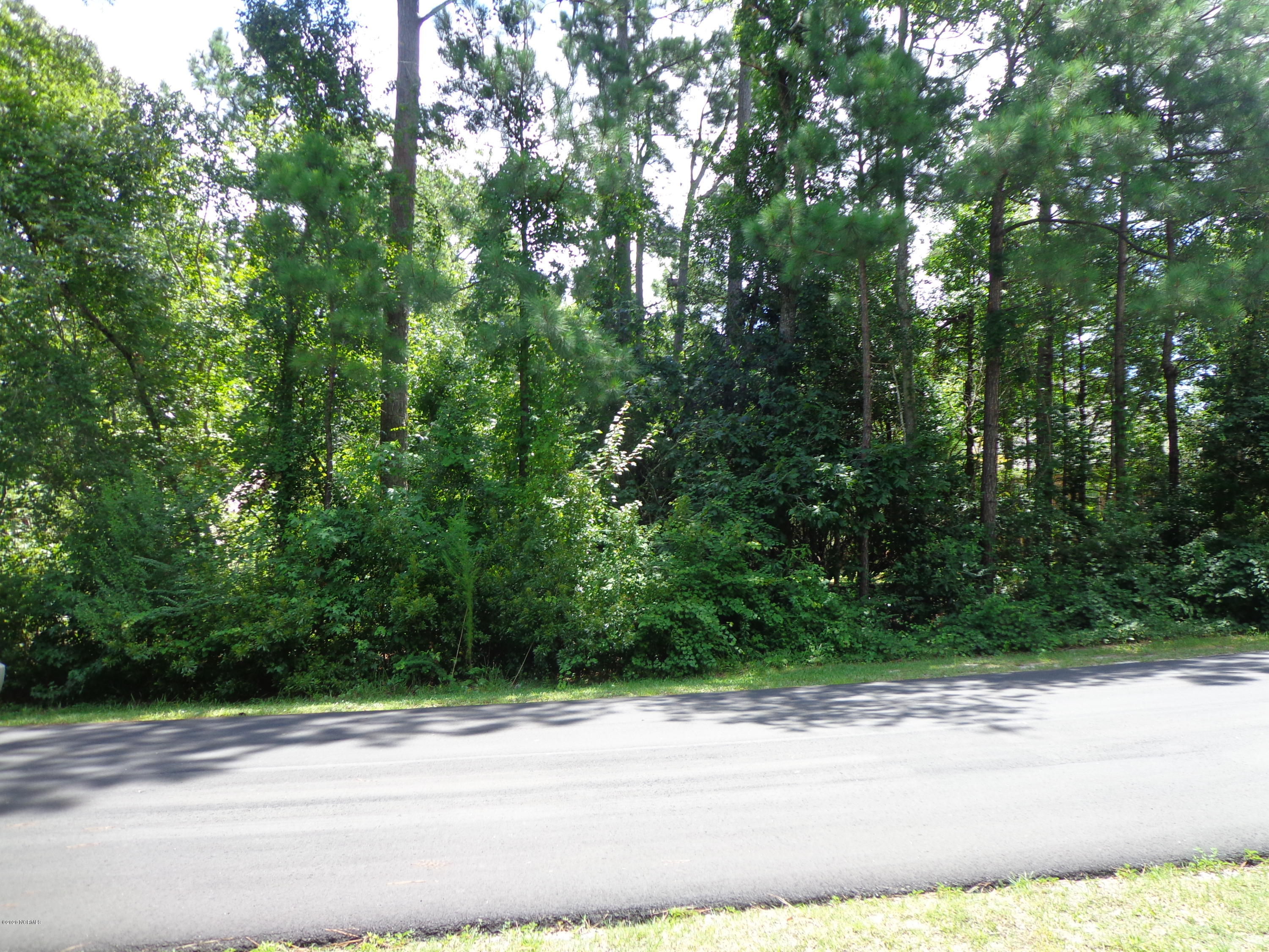 46 Canvasback Point Hampstead, NC 28443 - Photo 1 of 1 Road View