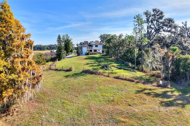 a view of a yard with a tree