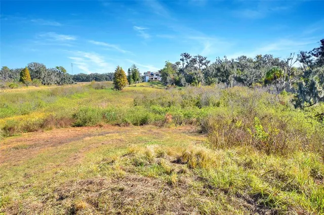 a view of a lake with a garden
