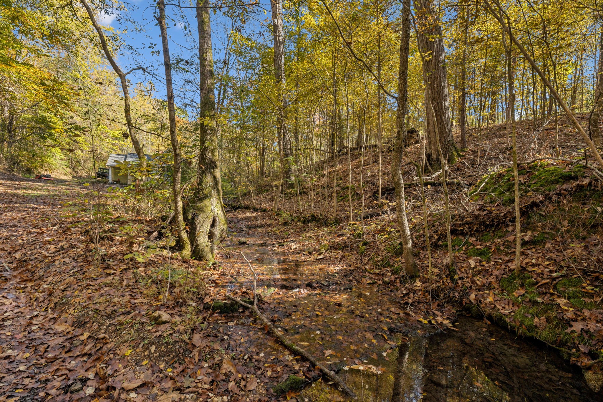 7489 Shoals Branch Road Primm Springs, TN 38476 - Photo 14 of 34