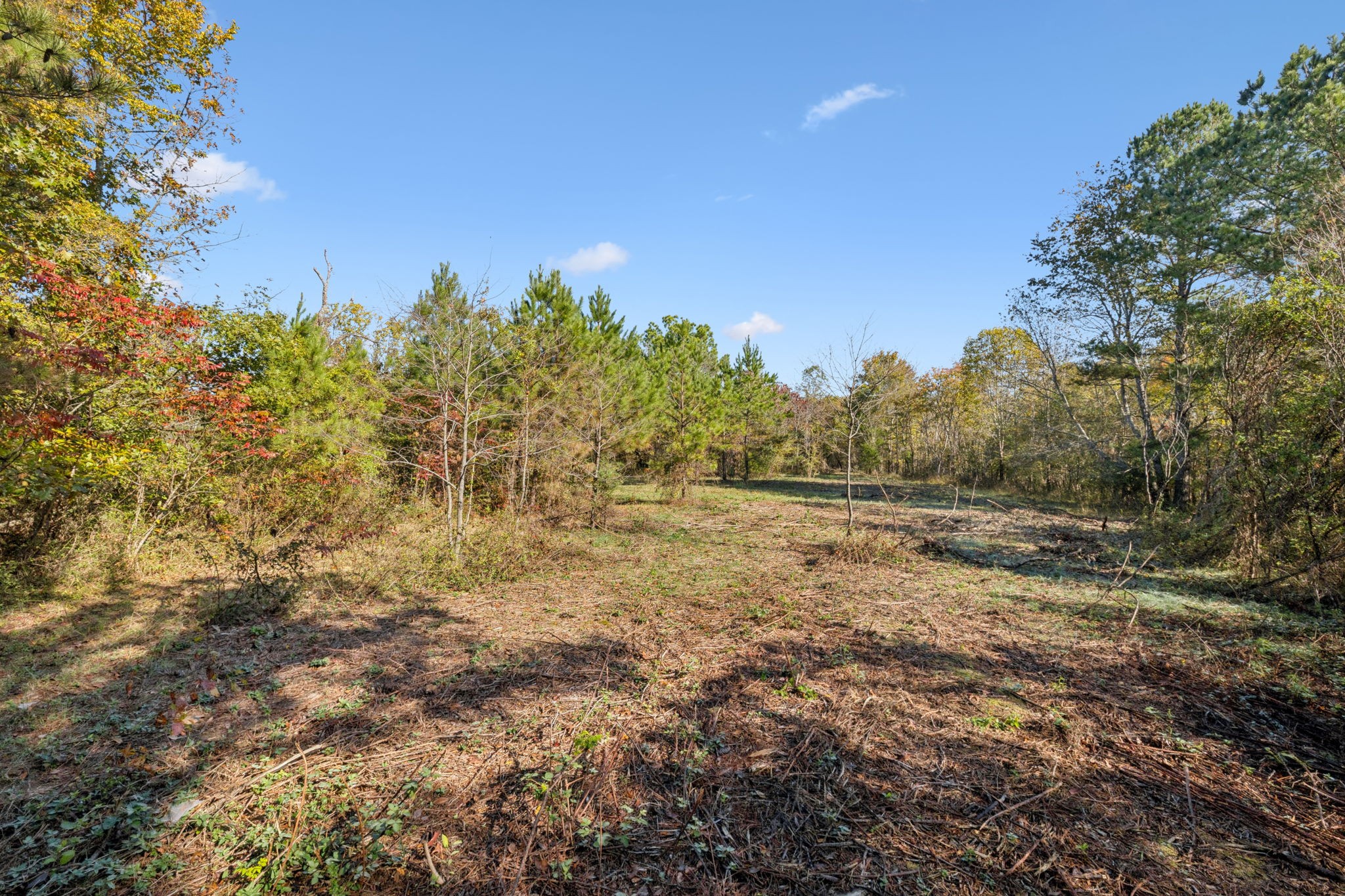 7489 Shoals Branch Road Primm Springs, TN 38476 - Photo 15 of 34