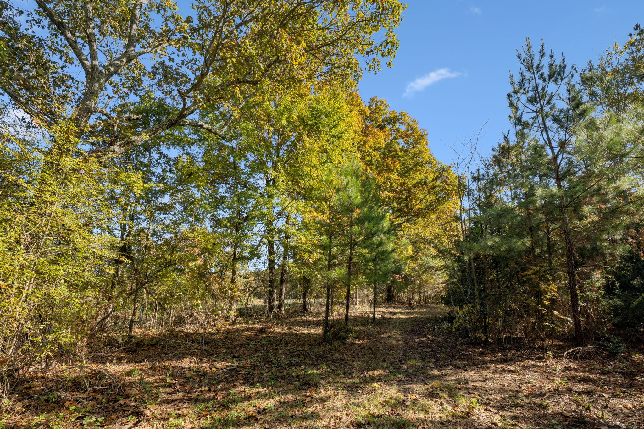 7489 Shoals Branch Road Primm Springs, TN 38476 - Photo 17 of 34