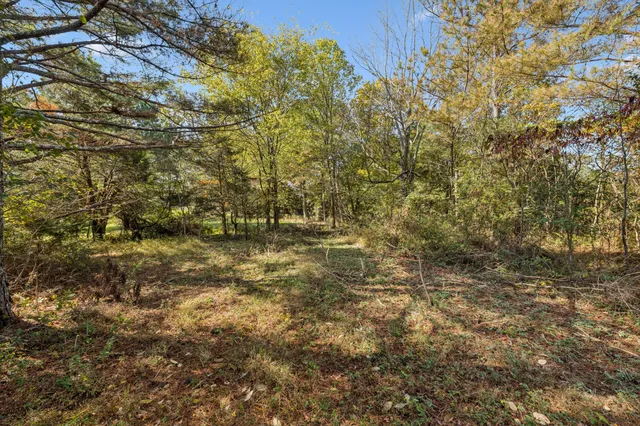 a view of a yard with a tree