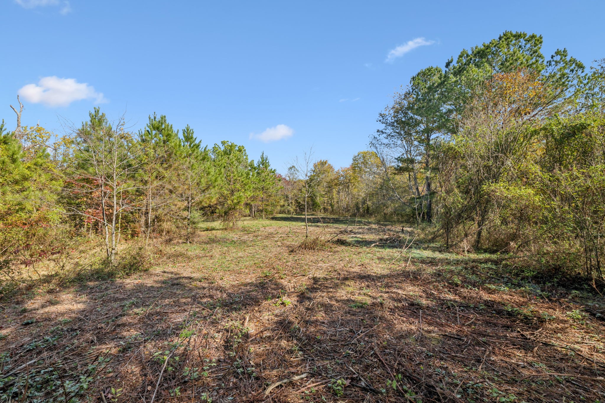 7489 Shoals Branch Road Primm Springs, TN 38476 - Photo 19 of 34