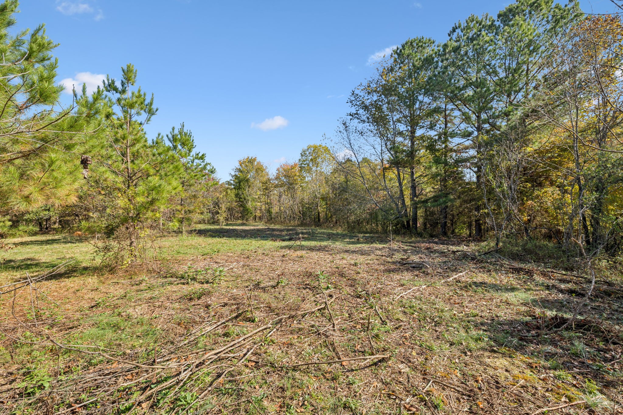 7489 Shoals Branch Road Primm Springs, TN 38476 - Photo 20 of 34