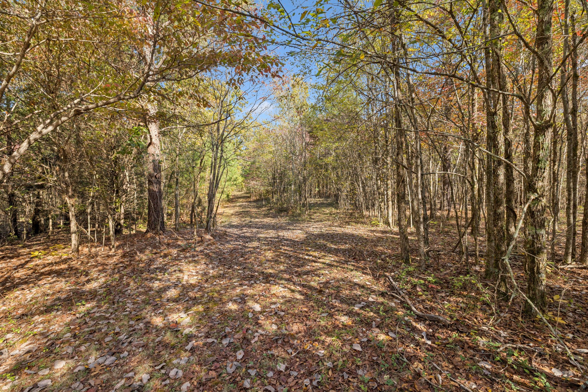 7489 Shoals Branch Road Primm Springs, TN 38476 - Photo 21 of 34