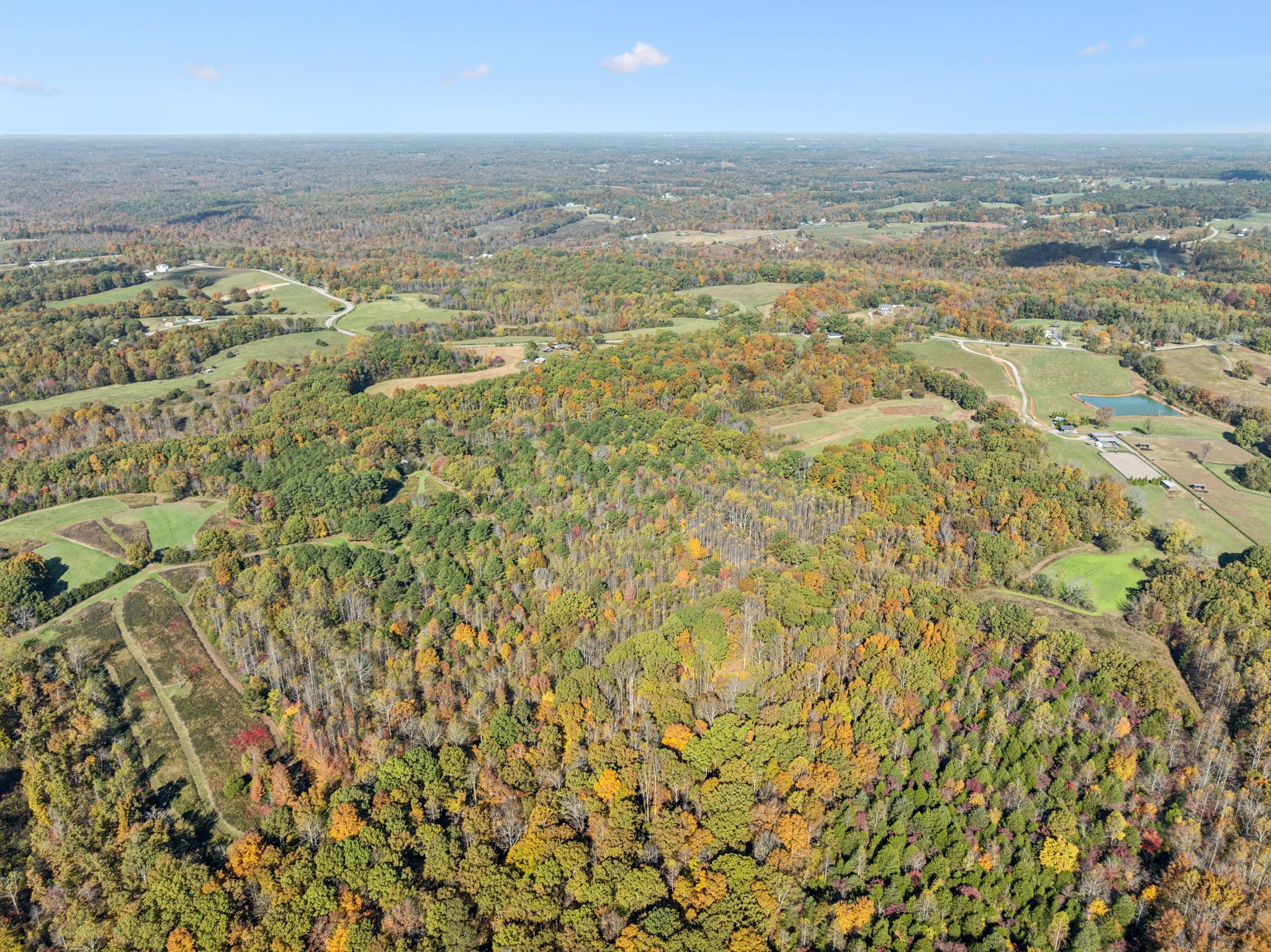 7489 Shoals Branch Road Primm Springs, TN 38476 - Photo 25 of 34