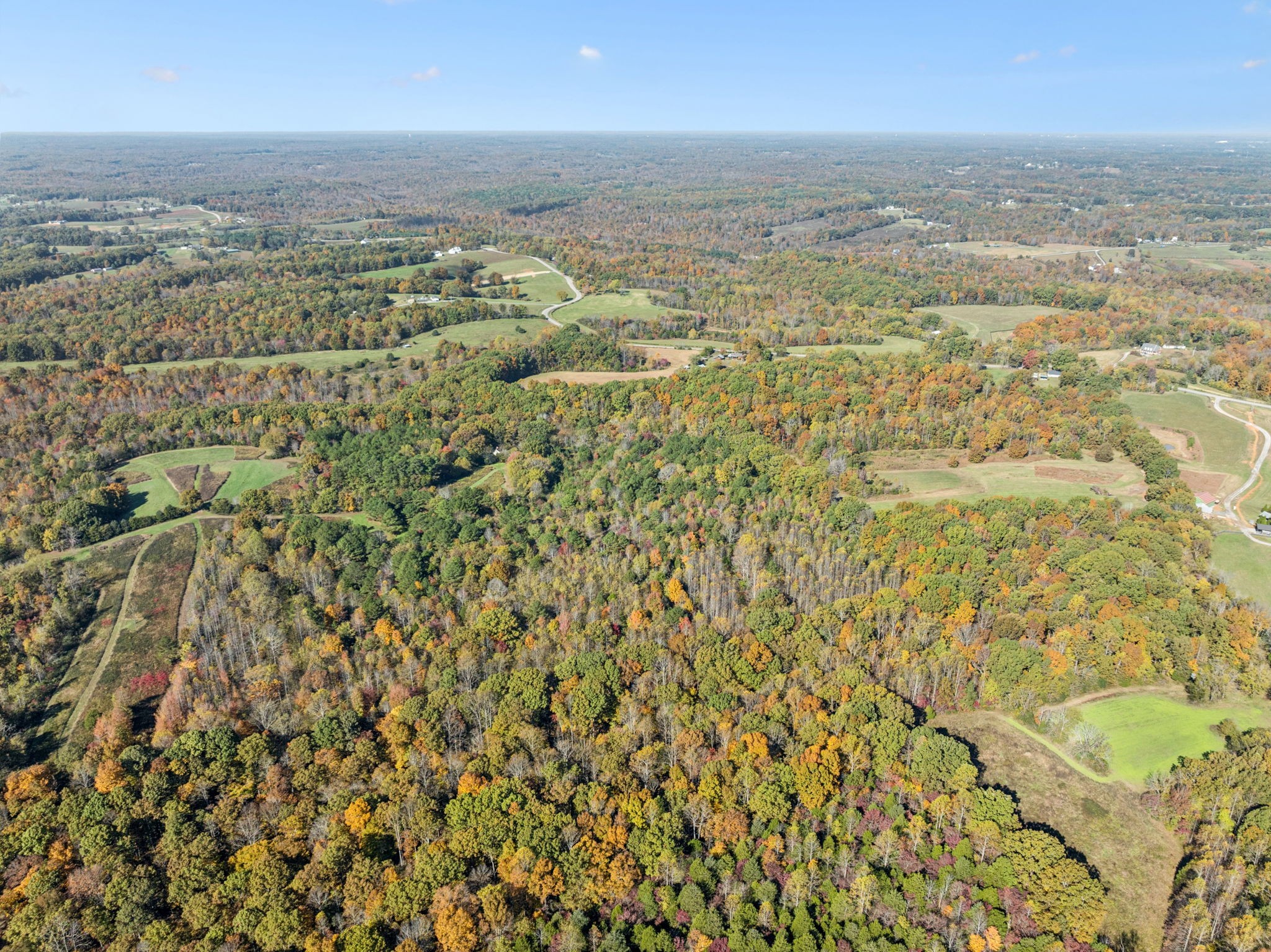 7489 Shoals Branch Road Primm Springs, TN 38476 - Photo 26 of 34