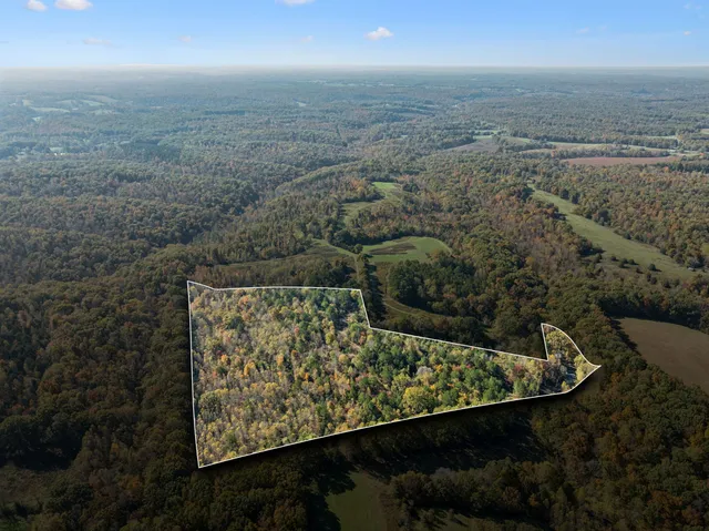 a view of an ocean and beach