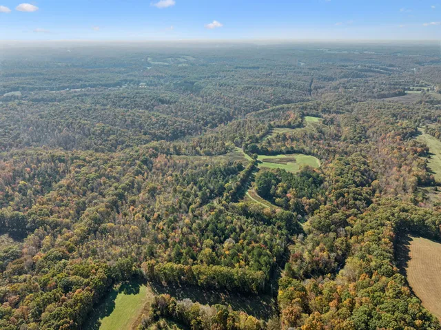 a view of city and ocean