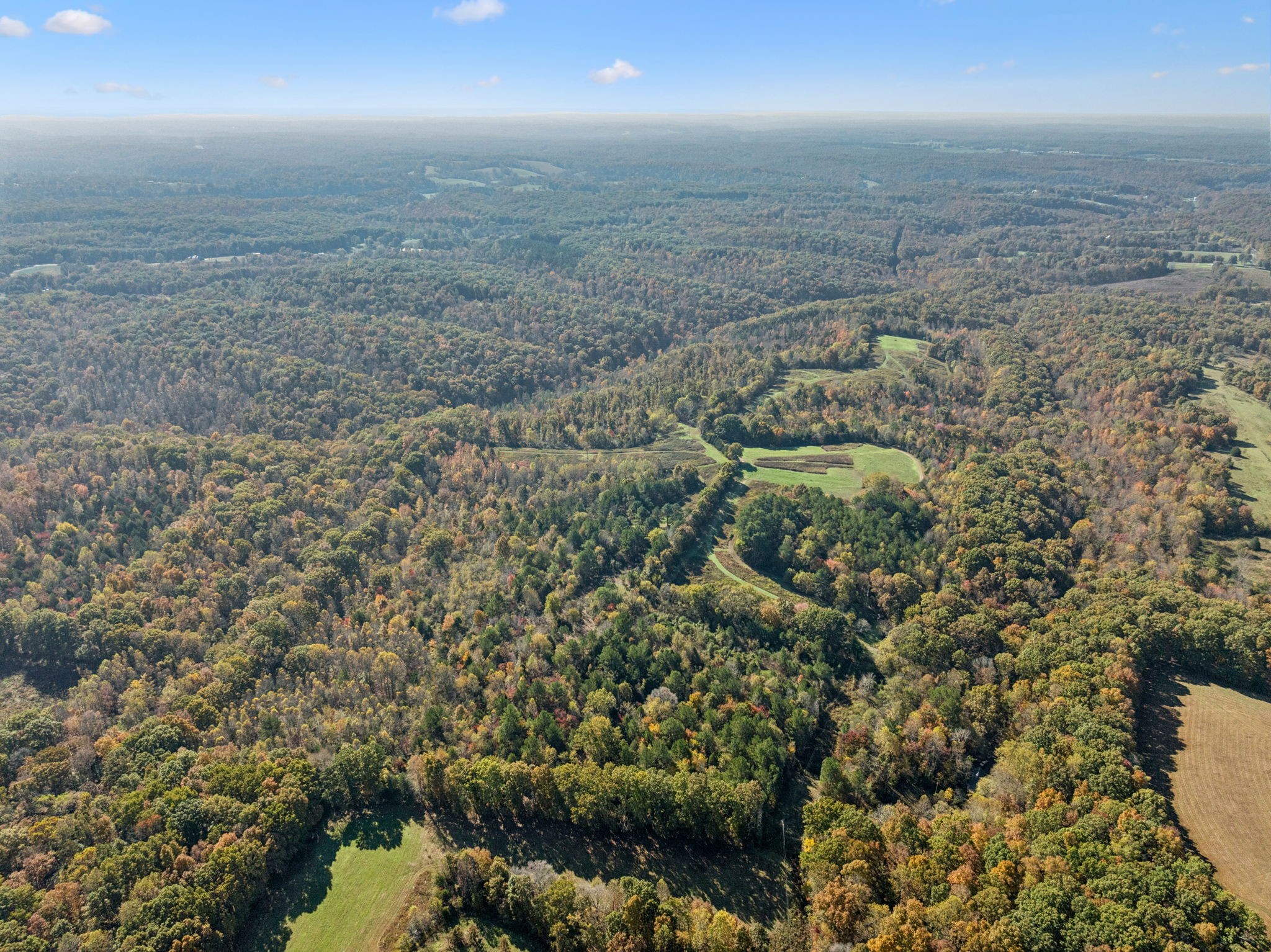 7489 Shoals Branch Road Primm Springs, TN 38476 - Photo 30 of 34